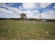 Cnr Riley Street  and Western Boundary Road, Tenterfield NSW 2372