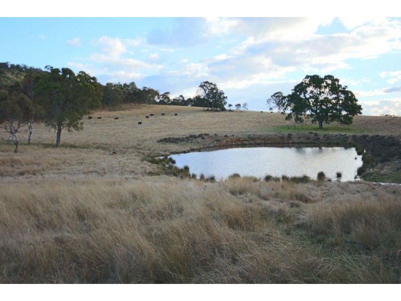 2461 Bruxner Highway, Tenterfield NSW 2372