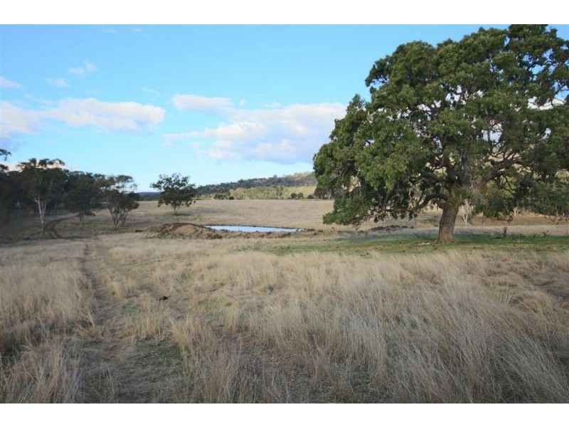 2461 Bruxner Highway, Tenterfield NSW 2372