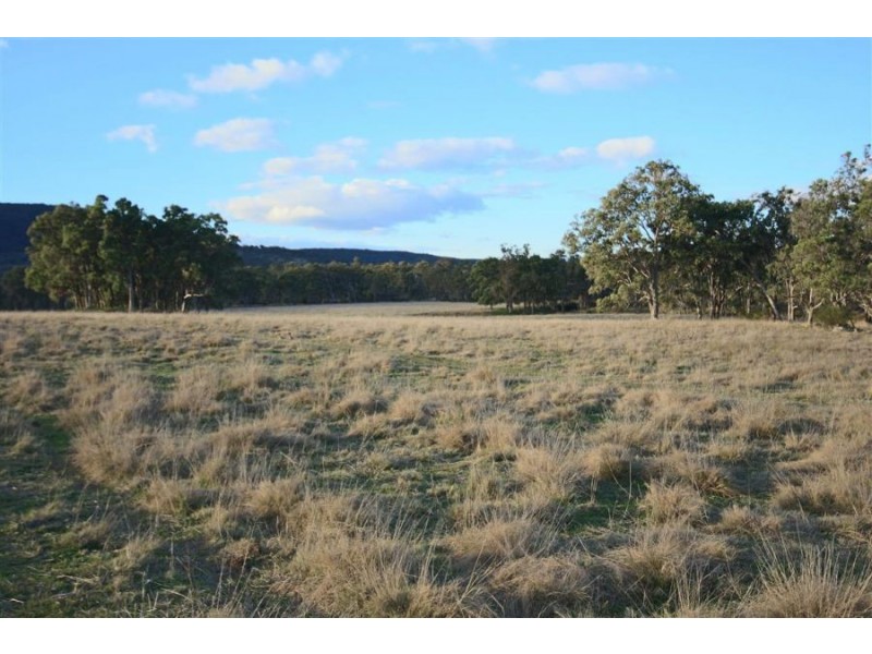 2461 Bruxner Highway, Tenterfield NSW 2372