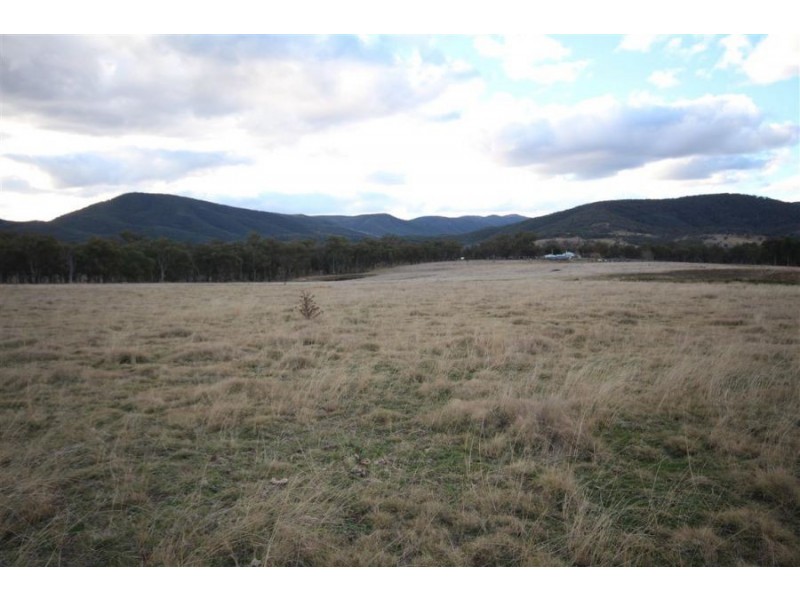 2461 Bruxner Highway, Tenterfield NSW 2372