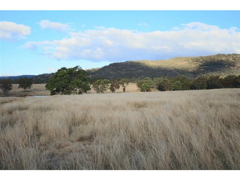 2461 Bruxner Highway, Tenterfield NSW 2372