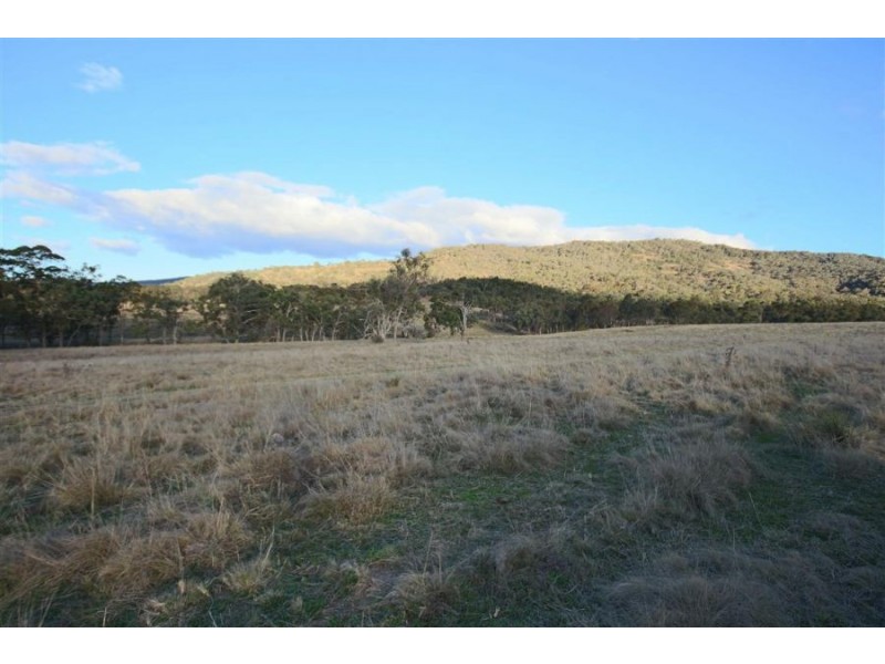 2461 Bruxner Highway, Tenterfield NSW 2372