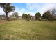 206 Pelham Street, Tenterfield NSW 2372