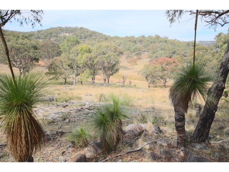 16 Gunyah Road, Tenterfield NSW 2372