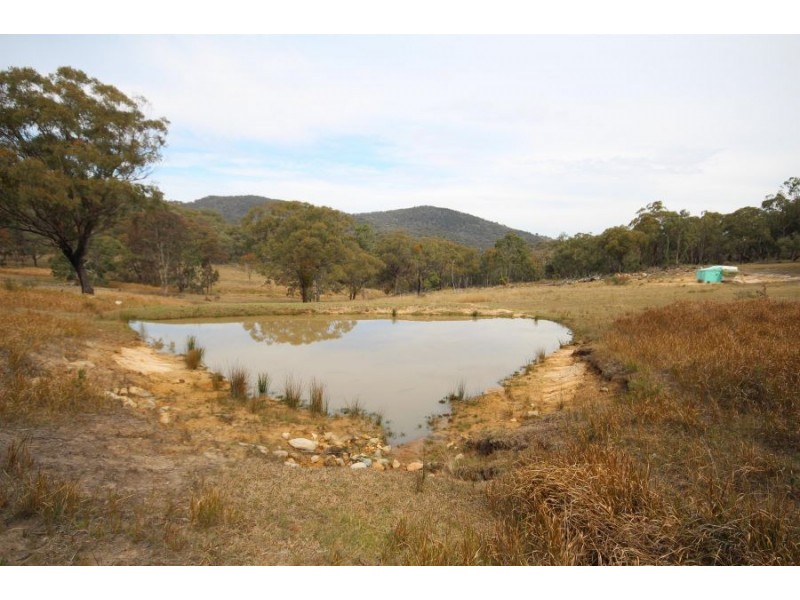 16 Gunyah Road, Tenterfield NSW 2372