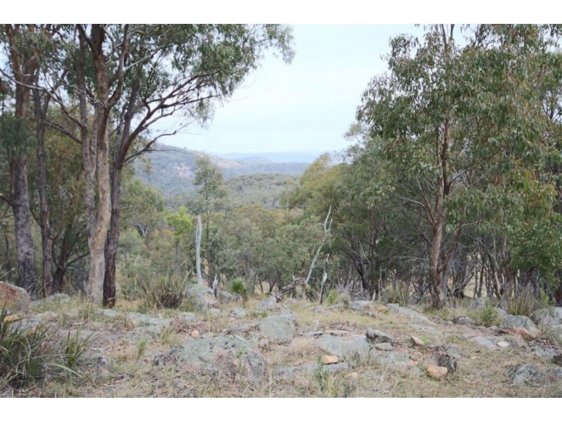 16 Gunyah Road, Tenterfield NSW 2372