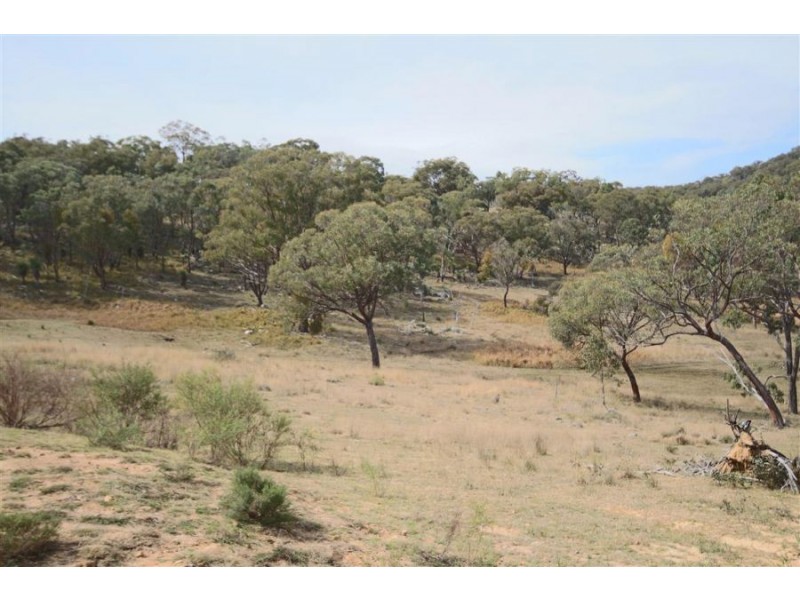 16 Gunyah Road, Tenterfield NSW 2372