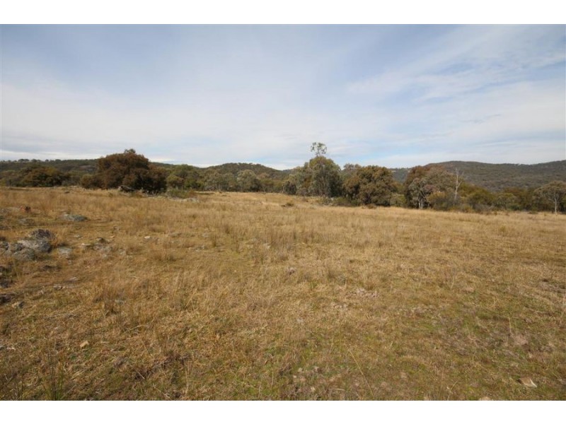 16 Gunyah Road, Tenterfield NSW 2372