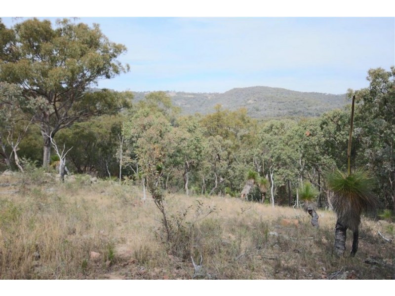 16 Gunyah Road, Tenterfield NSW 2372