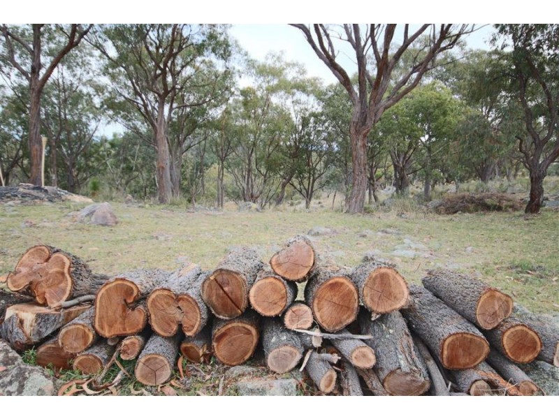 16 Gunyah Road, Tenterfield NSW 2372