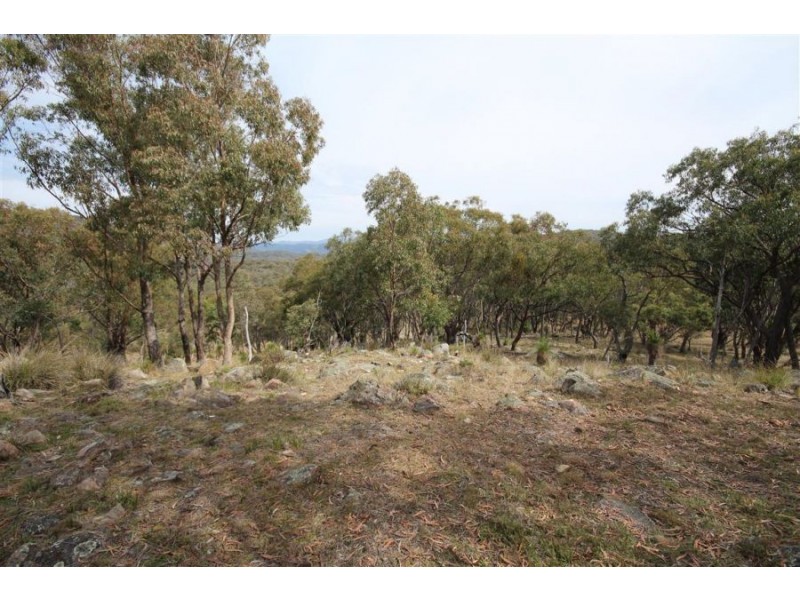 16 Gunyah Road, Tenterfield NSW 2372