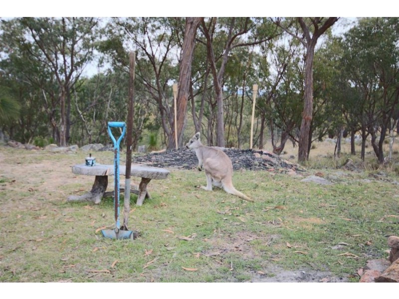 16 Gunyah Road, Tenterfield NSW 2372