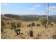 460 Boorook Road, Tenterfield NSW 2372