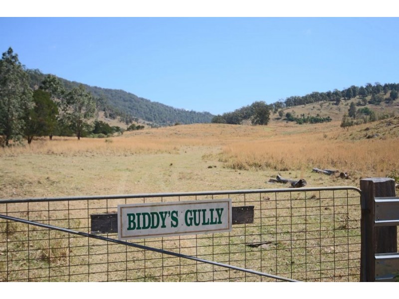 460 Boorook Road, Tenterfield NSW 2372