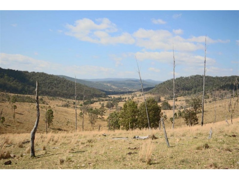 460 Boorook Road, Tenterfield NSW 2372