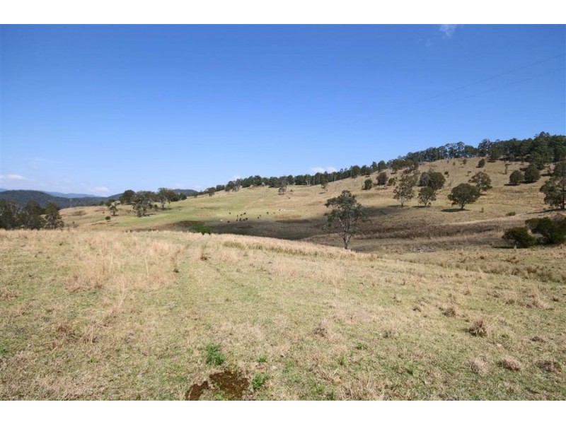 460 Boorook Road, Tenterfield NSW 2372