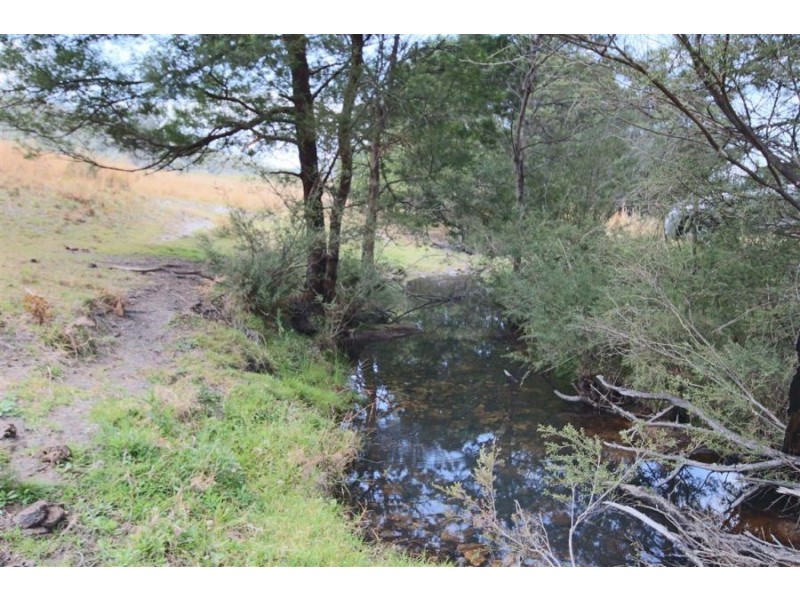 460 Boorook Road, Tenterfield NSW 2372