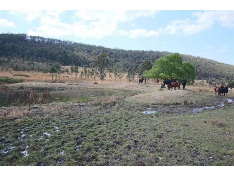 460 Boorook Road, Tenterfield NSW 2372