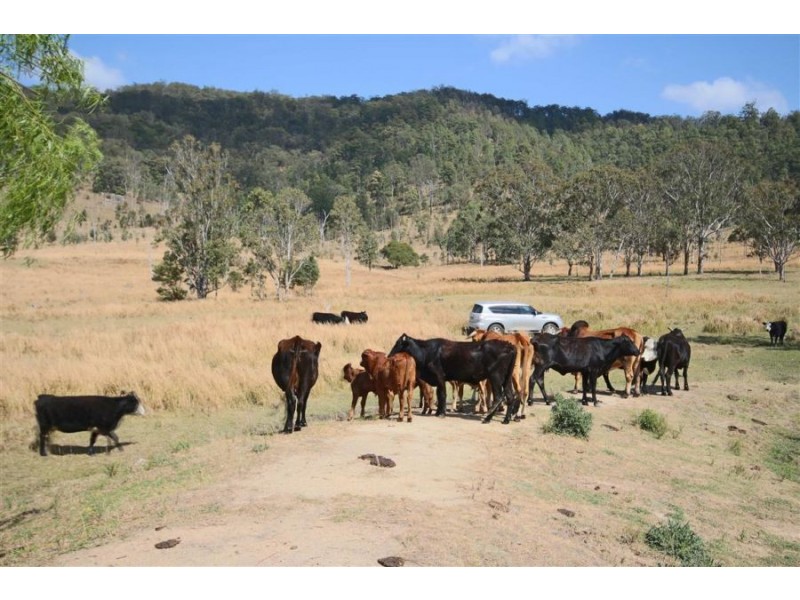 460 Boorook Road, Tenterfield NSW 2372