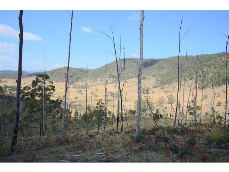 460 Boorook Road, Tenterfield NSW 2372