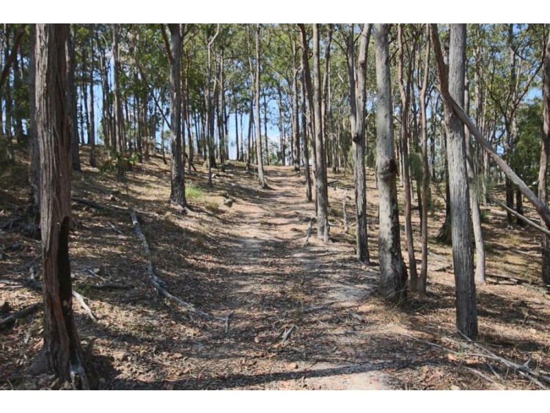 460 Boorook Road, Tenterfield NSW 2372