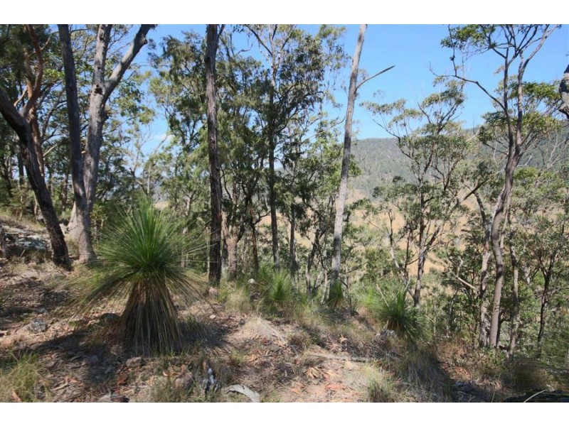 460 Boorook Road, Tenterfield NSW 2372
