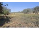 460 Boorook Road, Tenterfield NSW 2372