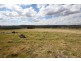 Lot 20 Bryans Gap Road, Tenterfield NSW 2372
