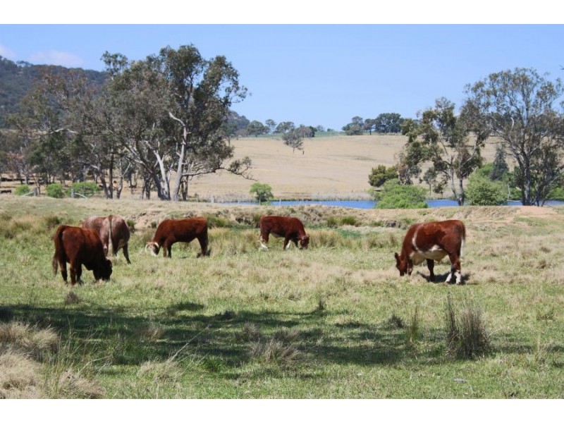 8850 New England Highway, Tenterfield NSW 2372