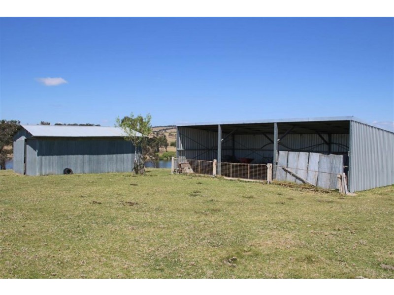 8850 New England Highway, Tenterfield NSW 2372
