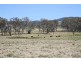 8850 New England Highway, Tenterfield NSW 2372