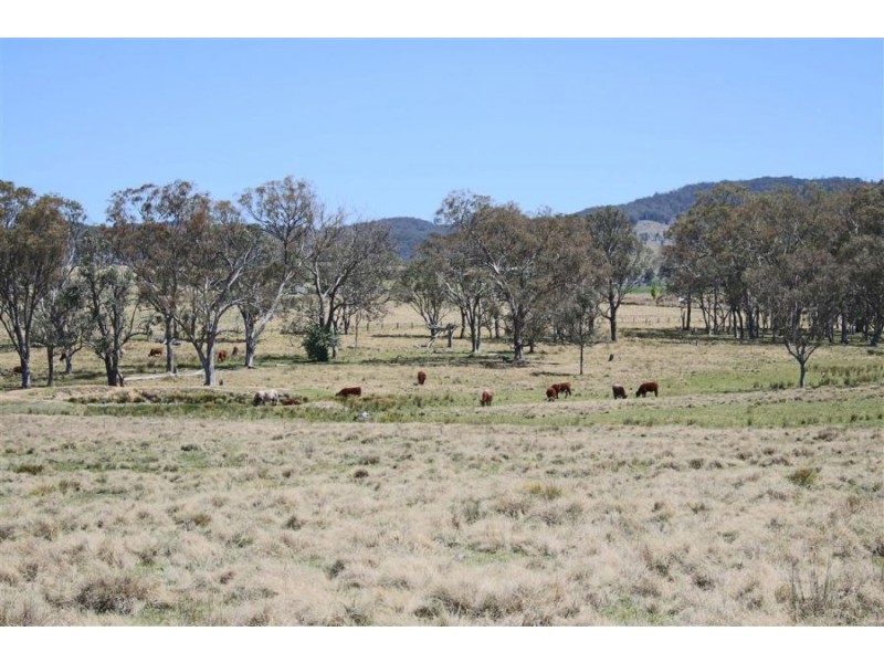 8850 New England Highway, Tenterfield NSW 2372