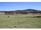 8850 New England Highway, Tenterfield NSW 2372
