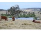 8850 New England Highway, Tenterfield NSW 2372
