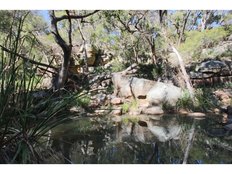 Wotl Mt Mackenzie Road, Tenterfield NSW 2372