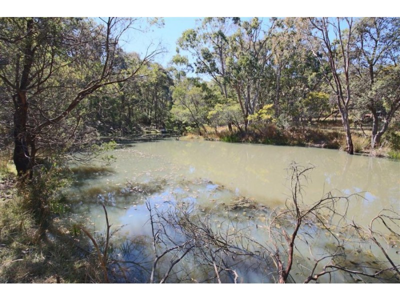 Wotl Mt Mackenzie Road, Tenterfield NSW 2372