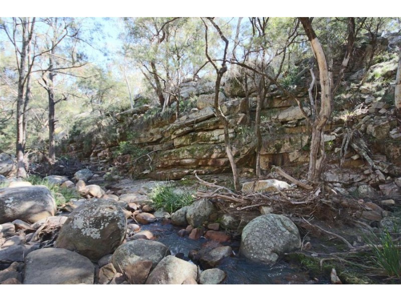 Wotl Mt Mackenzie Road, Tenterfield NSW 2372