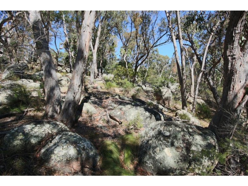 Wotl Mt Mackenzie Road, Tenterfield NSW 2372