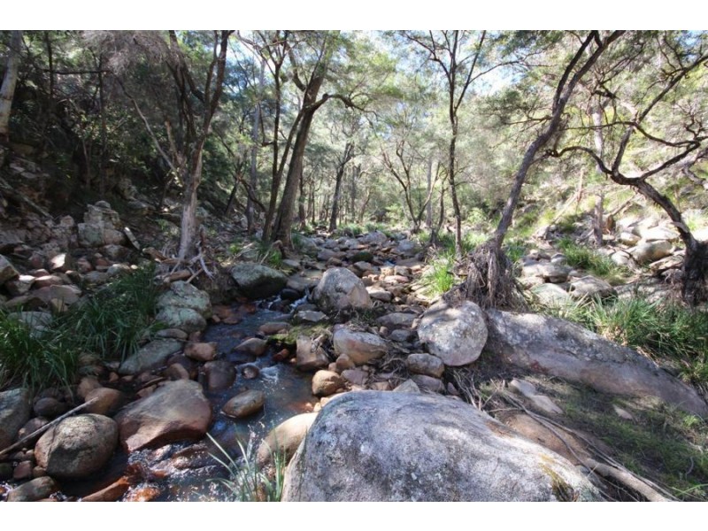 Wotl Mt Mackenzie Road, Tenterfield NSW 2372