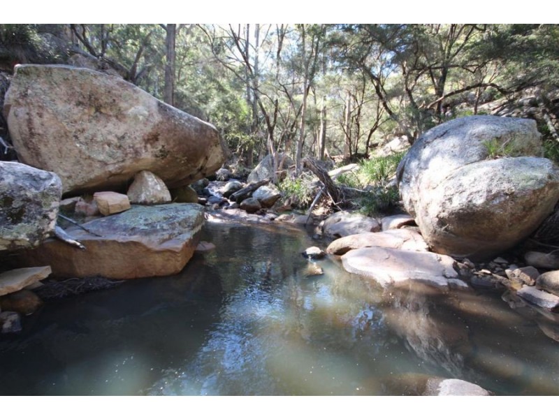 Wotl Mt Mackenzie Road, Tenterfield NSW 2372