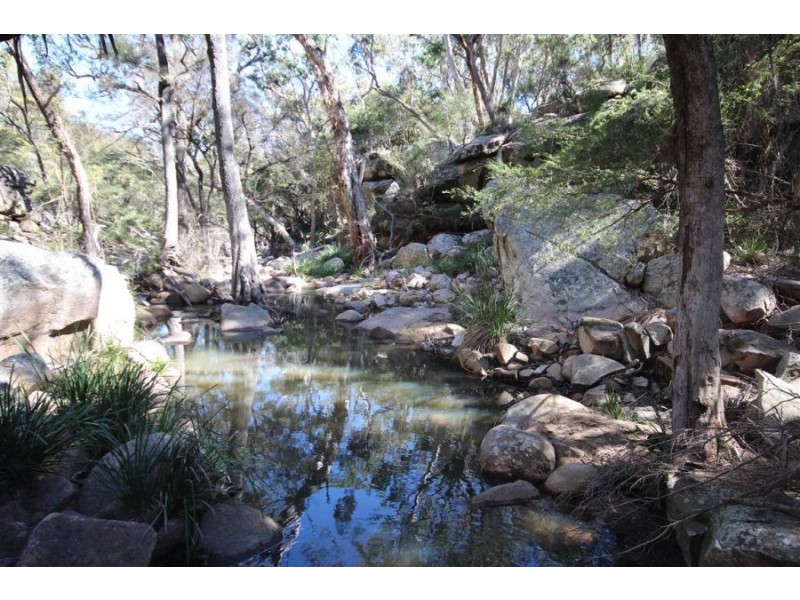 Wotl Mt Mackenzie Road, Tenterfield NSW 2372