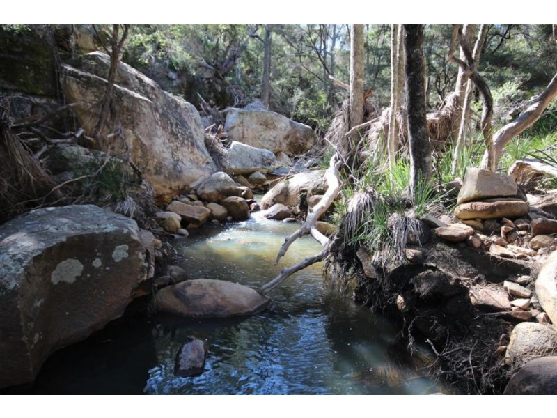 Wotl Mt Mackenzie Road, Tenterfield NSW 2372