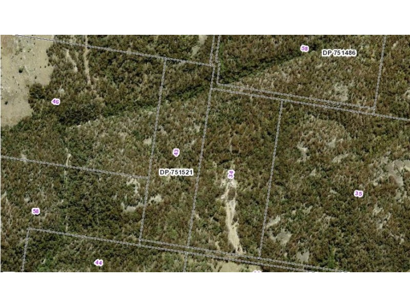 Wotl Mt Mackenzie Road, Tenterfield NSW 2372