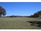1027 Bruxner Hwy Sunnyside, Tenterfield NSW 2372