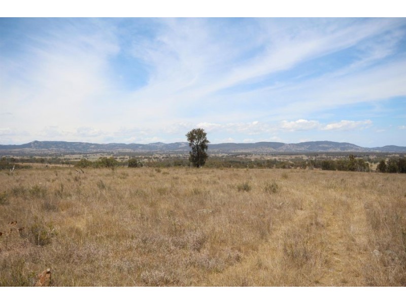 Lot 55 Tarban Road, Tenterfield NSW 2372