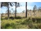 Lot 55 Tarban Road, Tenterfield NSW 2372