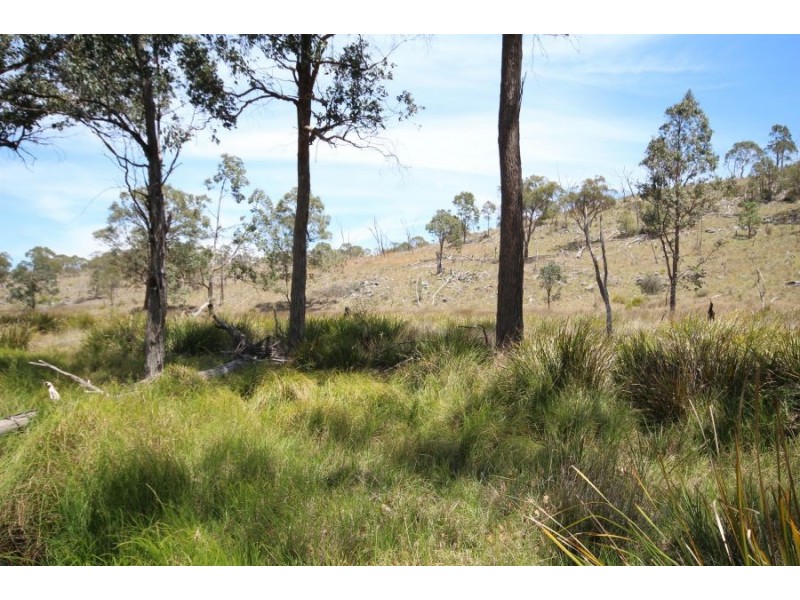 Lot 55 Tarban Road, Tenterfield NSW 2372