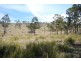 Lot 55 Tarban Road, Tenterfield NSW 2372