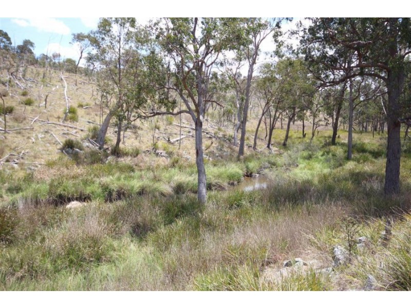 Lot 55 Tarban Road, Tenterfield NSW 2372